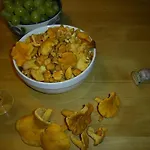 Hochkrimml-gerlosplatte * Krimml