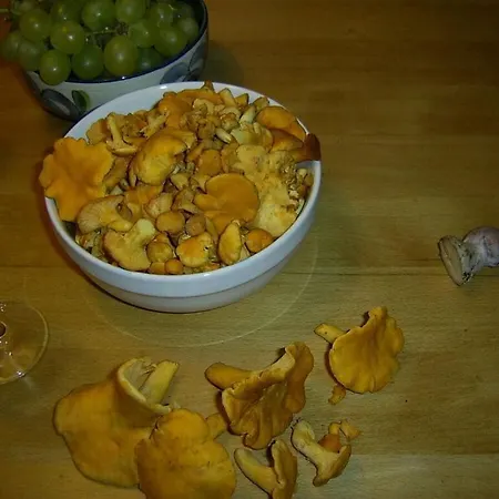 Hochkrimml-gerlosplatte * Krimml