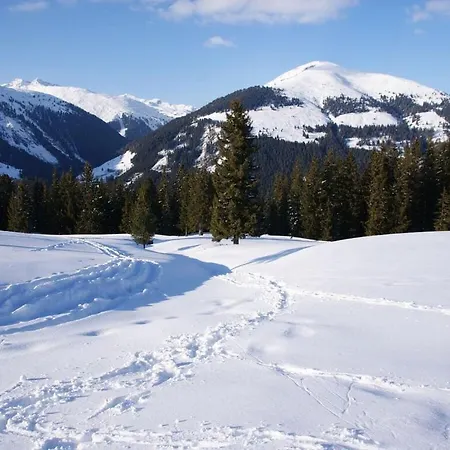 Hochkrimml-gerlosplatte Hébergement de vacances *