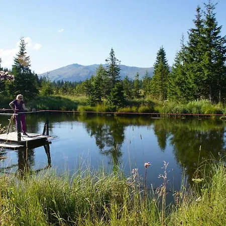 Hébergement de vacances Hochkrimml-gerlosplatte