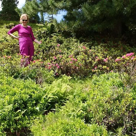 Hochkrimml-gerlosplatte * Krimml