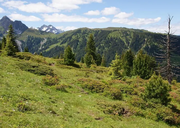 Hochkrimml-gerlosplatte *